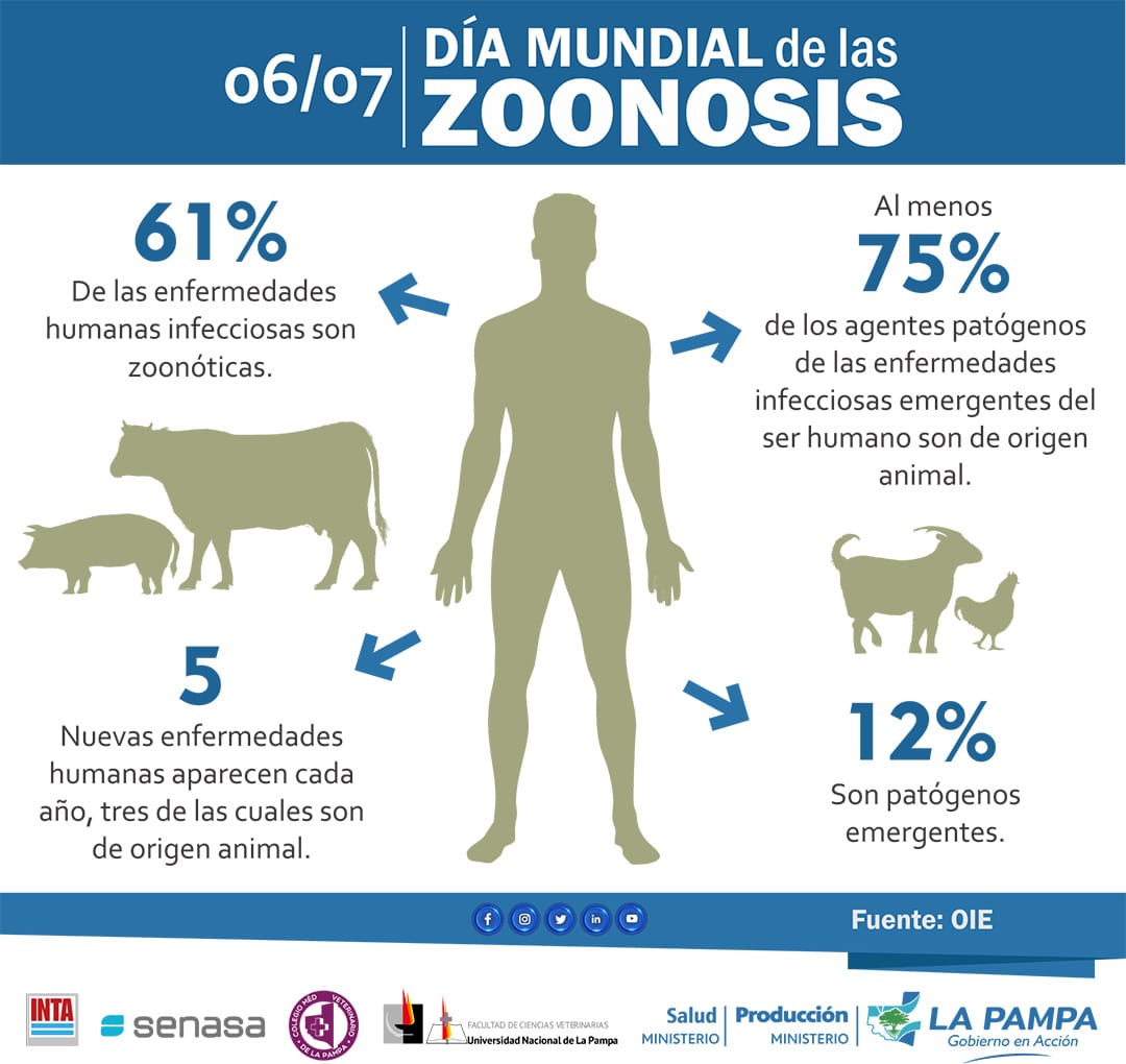 Recuerdan medidas preventivas por el Día Mundial de la Zoonosis