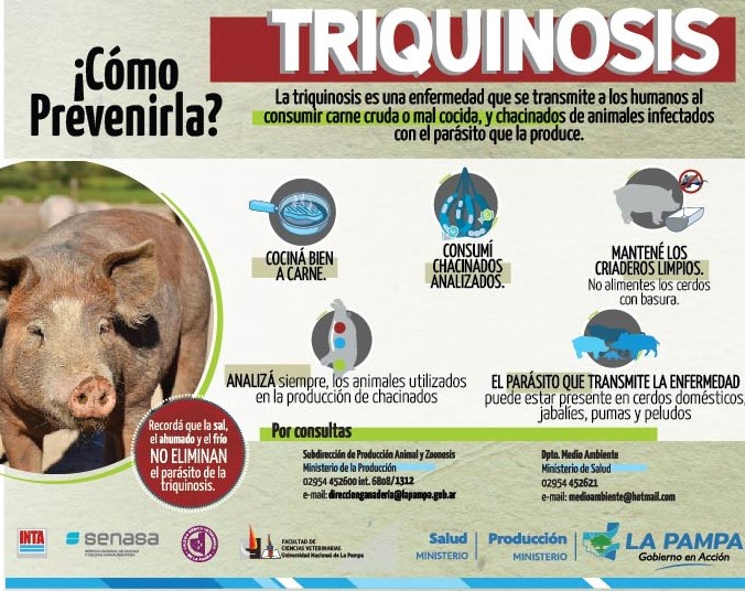Detectan dos nuevos casos de cerdos con triquinosis 