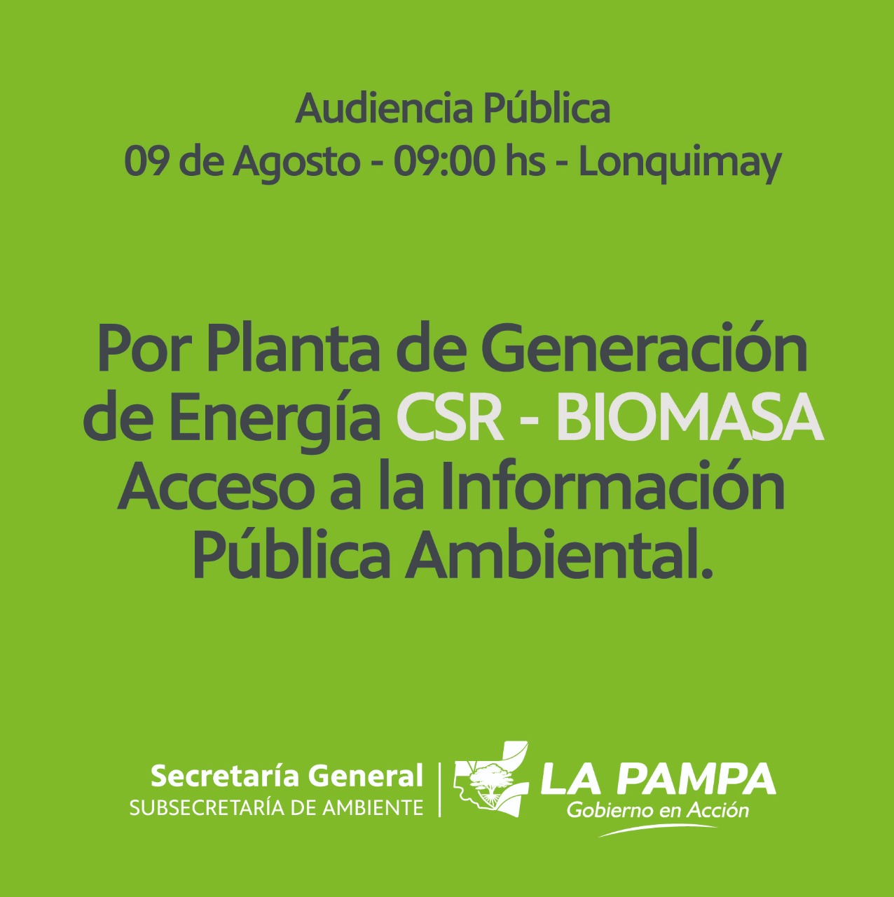 Recuerdan fecha de la audiencia pública por el proyecto de la planta de biomasa en Lonquimay 