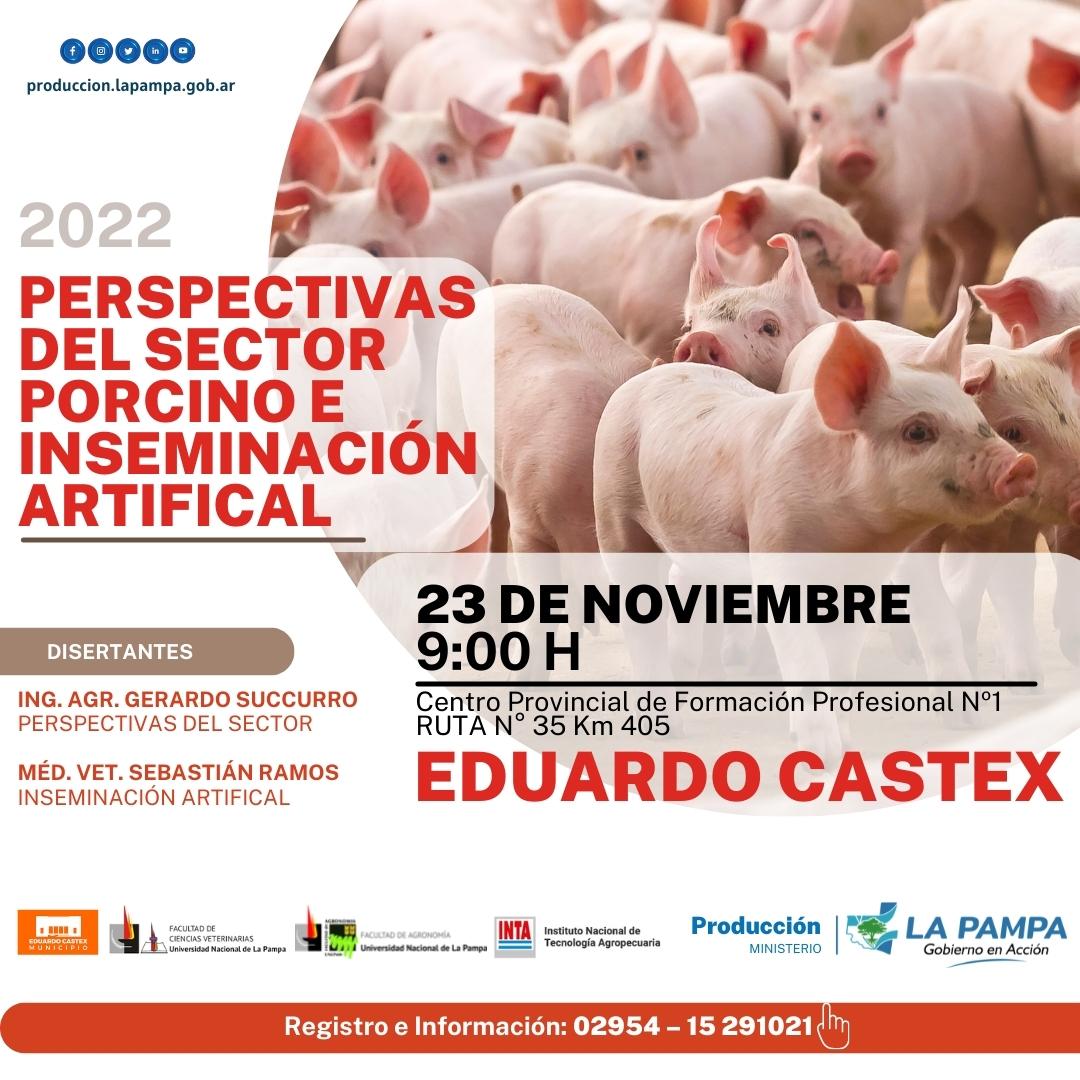 Anunciaron jornada sobre perspectivas del sector porcino e inseminación artificial 