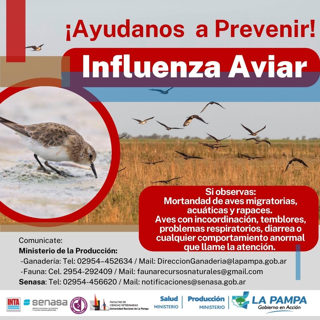 Tras confirmarse el primer caso de influenza aviar se intensifican las acciones en terreno