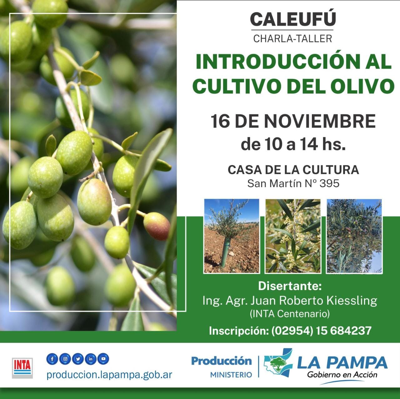 Taller sobre “Introducción al cultivo del olivo”