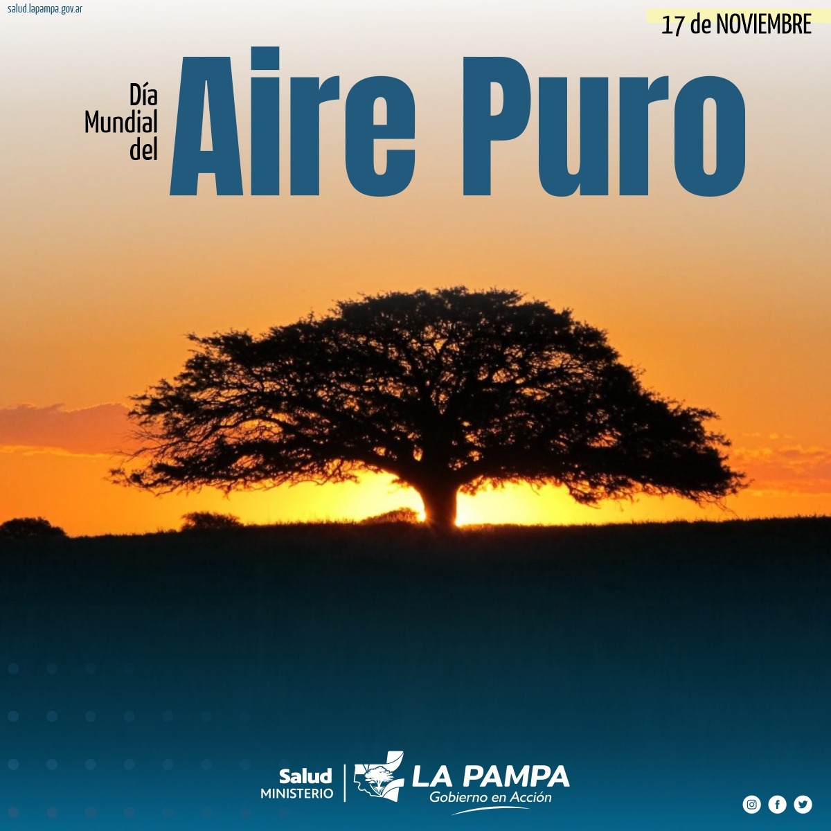 Día internacional del aire puro: respeto a la naturaleza junto a la concientización ciudadana 