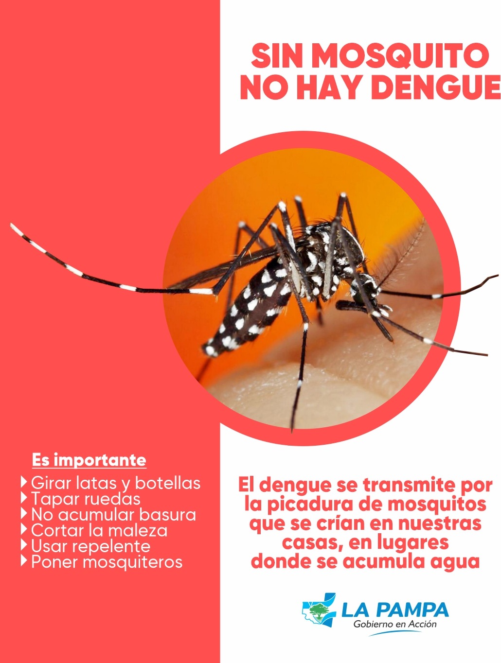 Dengue: reiteran medidas preventivas ante la aparición del primer caso sin antecedente de viaje en La Pampa 