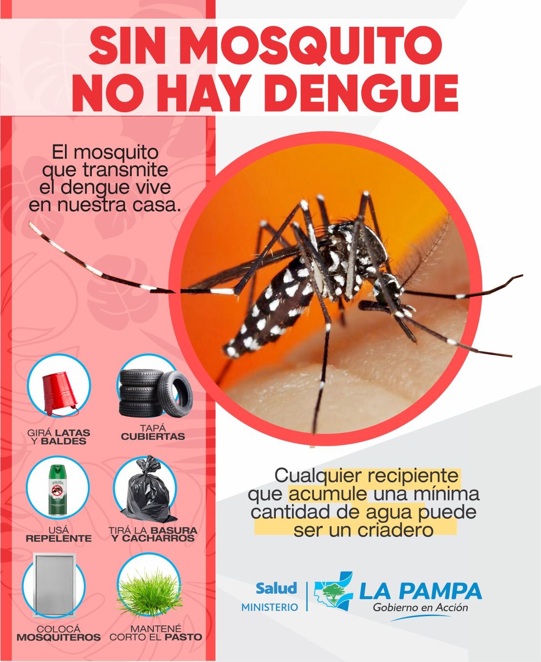 Dengue: Salud actualizó estadísticas de casos en La Pampa