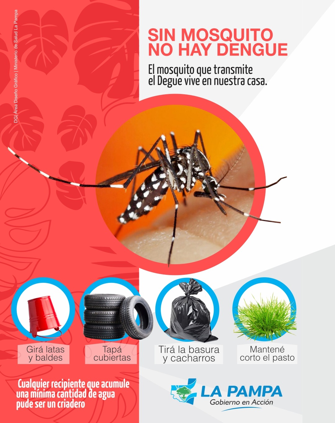 Dengue: Salud actualizó la estadística de casos en La Pampa  