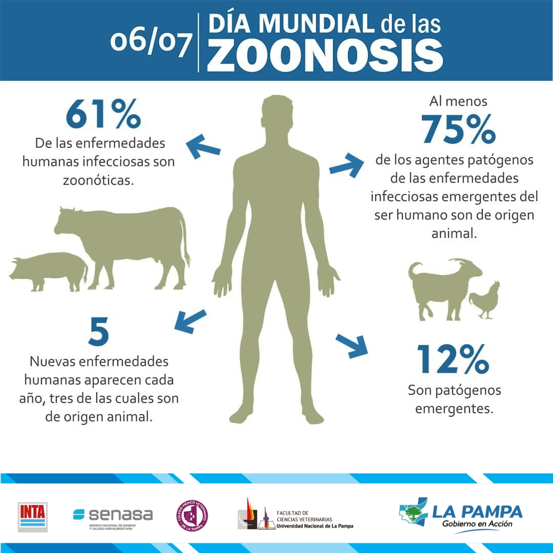 Día Mundial de la Zoonosis: proteger la salud animal para preservar la salud humana