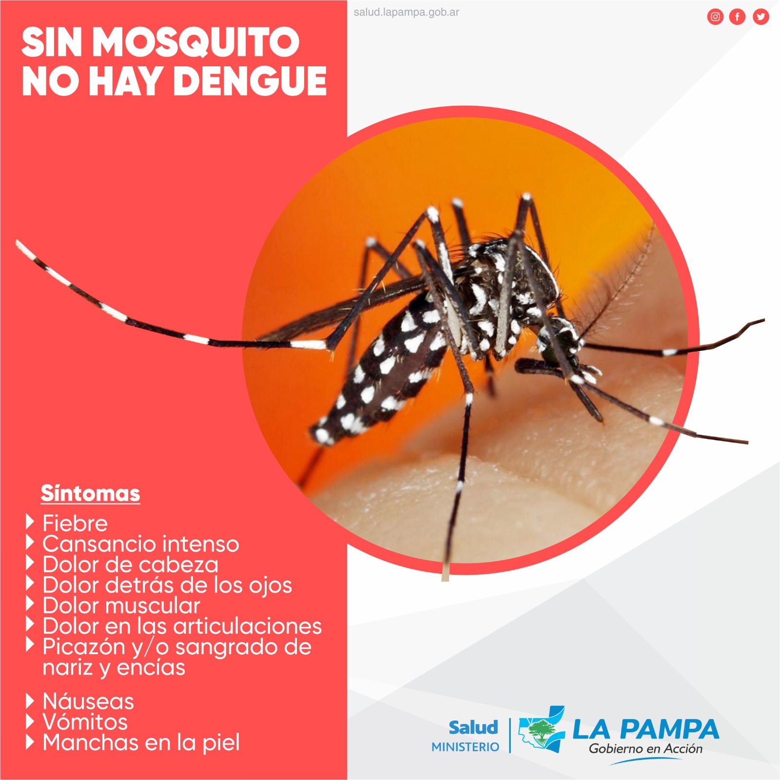 APN La Pampa | El Ministerio de Salud, a través de la Dirección de  Epidemiología, confirmó un nuevo caso de dengue importado, esta vez en la  localidad de General Acha.