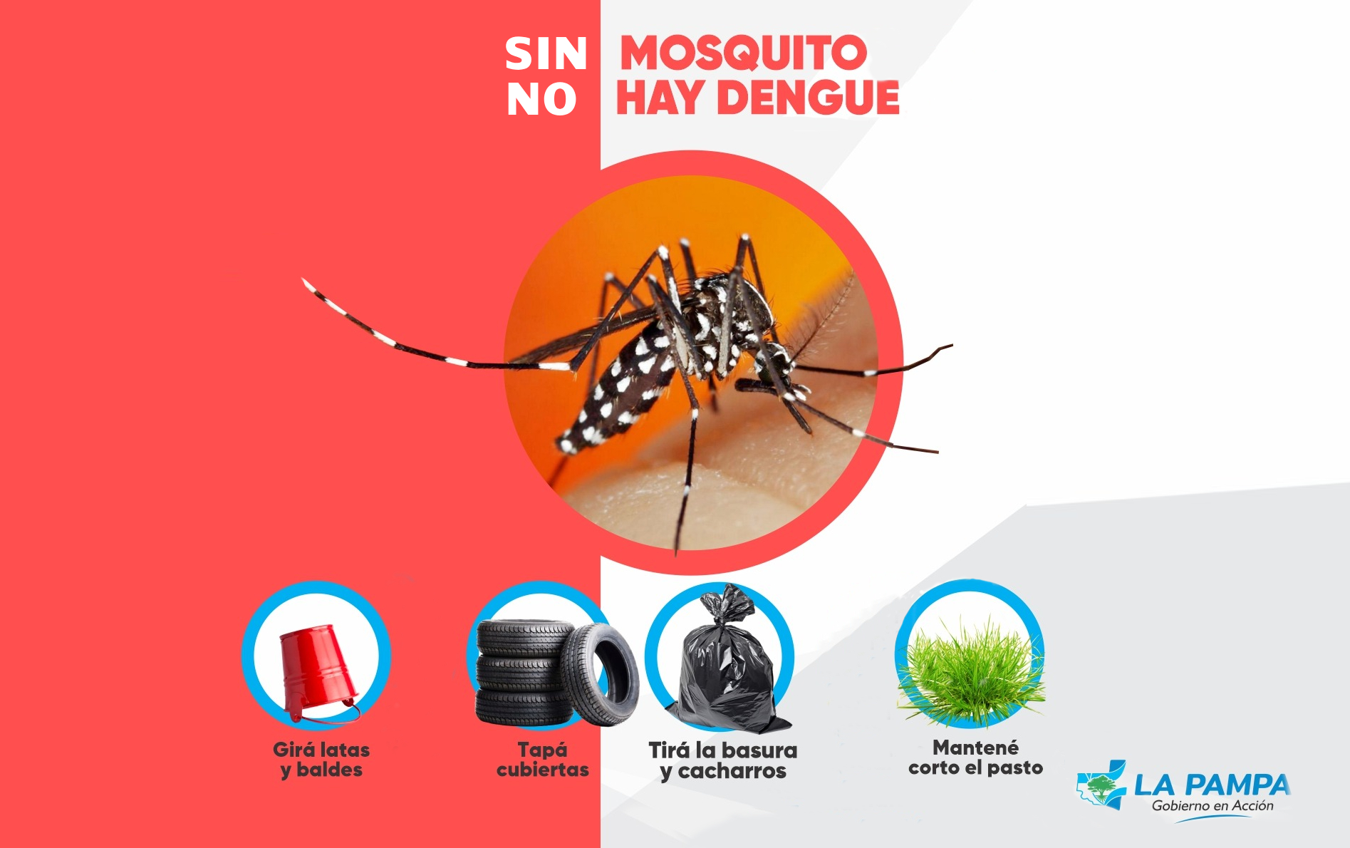 Dengue: Salud actualizó el estado de situación en La Pampa 