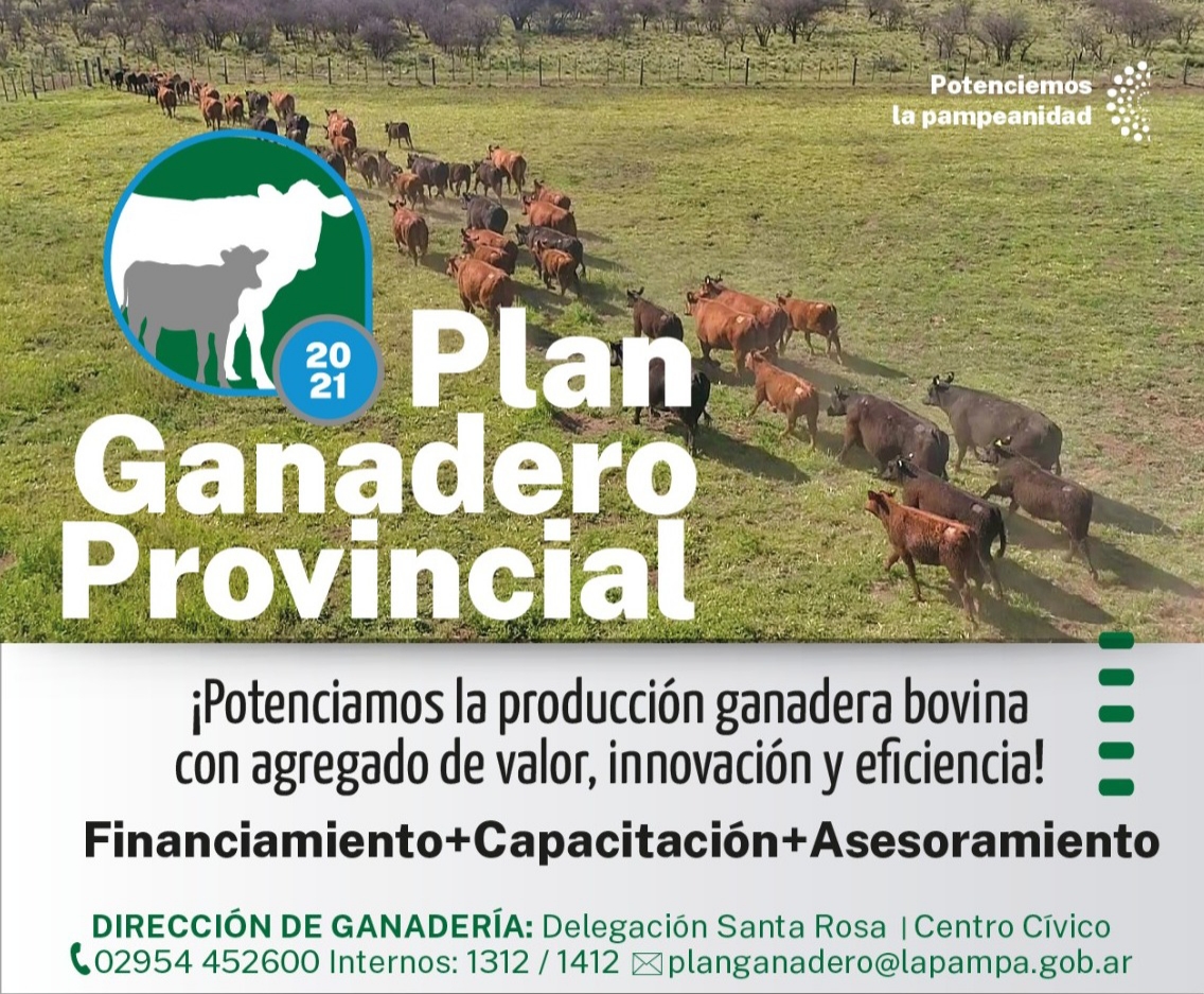Producción inicia ciclo de presentación del Plan Ganadero Provincial 2021