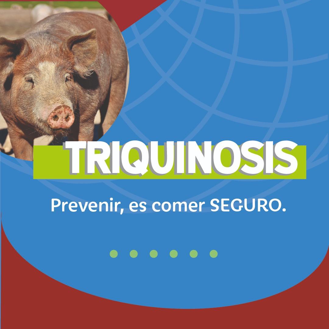 Triquinosis: qué es, medidas preventivas y sintomatologías