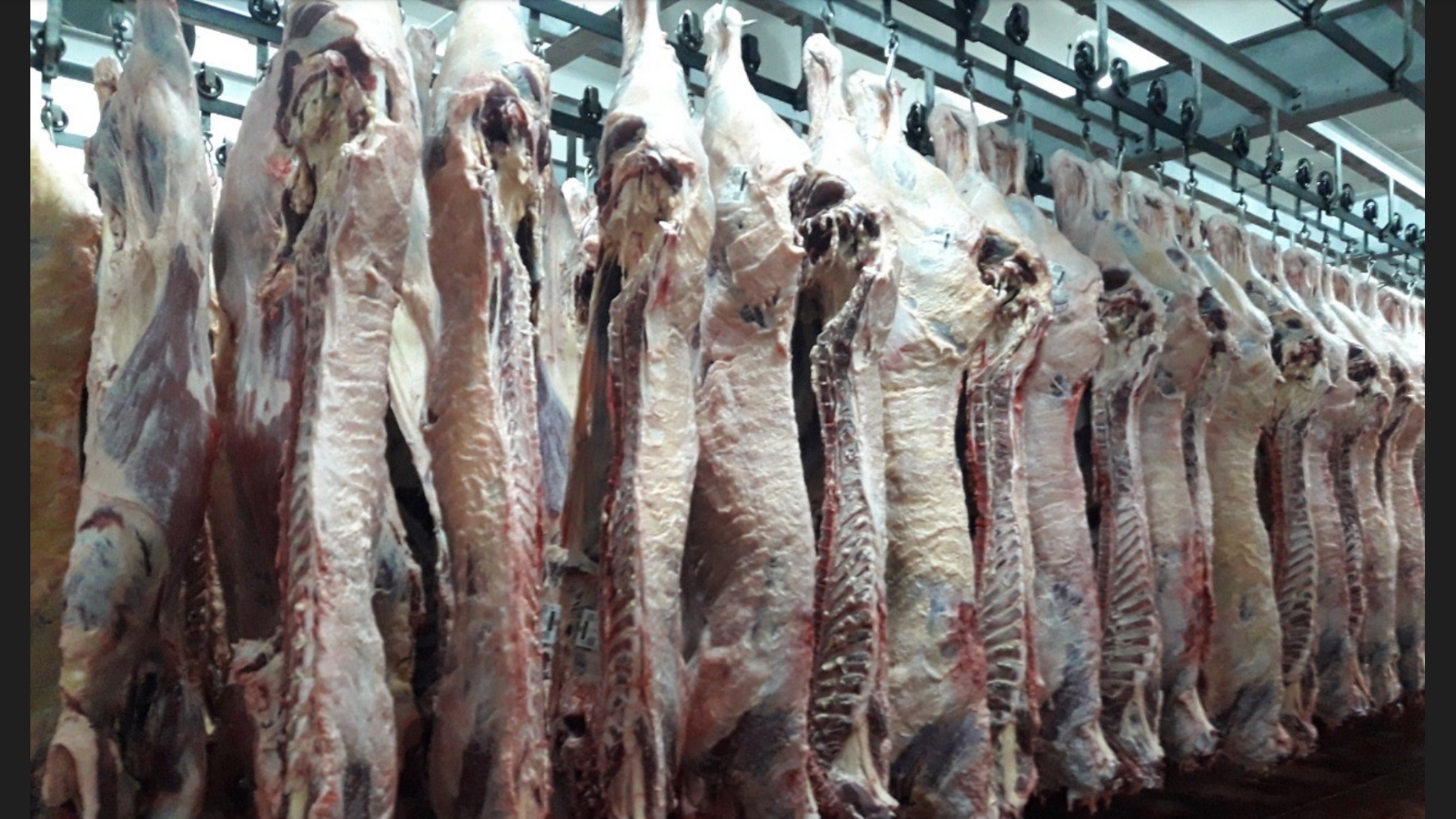 Los frigoríficos pampeanos están listos para implementar el troceo de la carne
