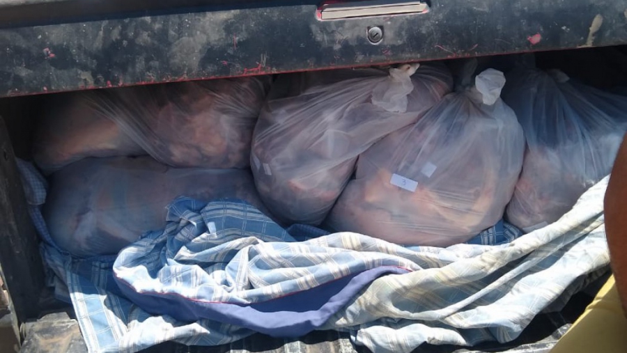 Interceptan y decomisan vehiculo con 350 kilos de carne transportada en forma ilegal