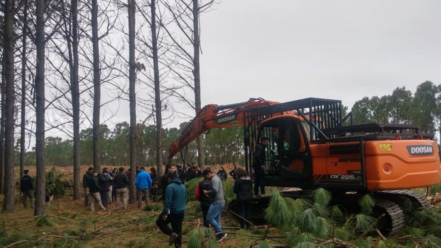 Técnicos evaluaron la potencialidad de la forestación en La Pampa