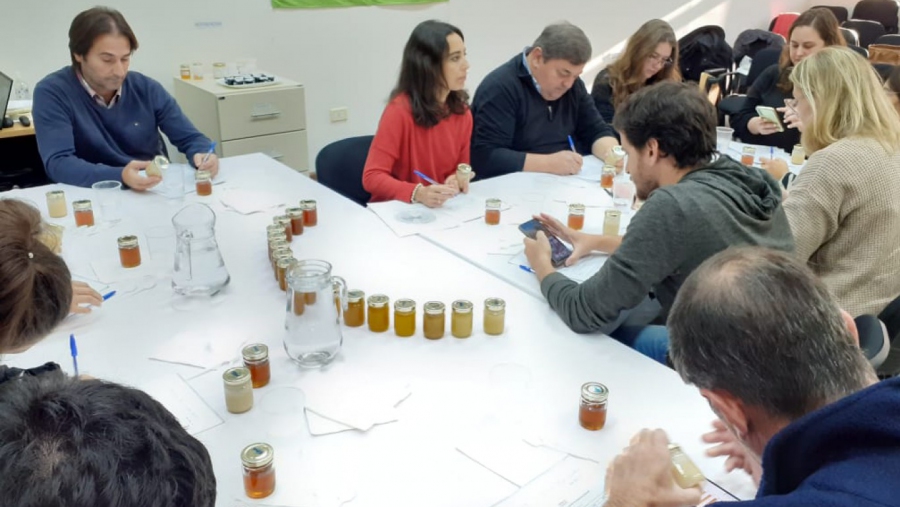 Trabajo interinstitucional para la caracterización de la miel pampeana