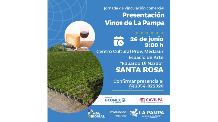 Vinos de La Pampa:  anunciaron jornada de vinculación comercial