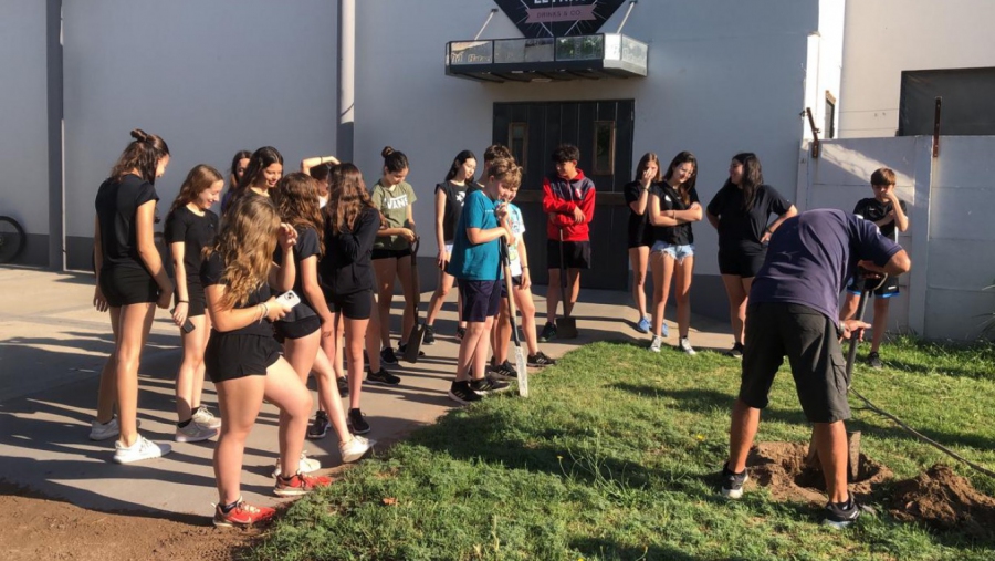 Estudiantes de Macachín plantaron fresnos en la localidad